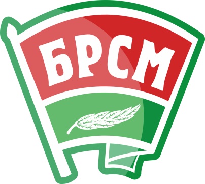 Первичная организация общественного объединения «Белорусский республиканский союз молодежи»